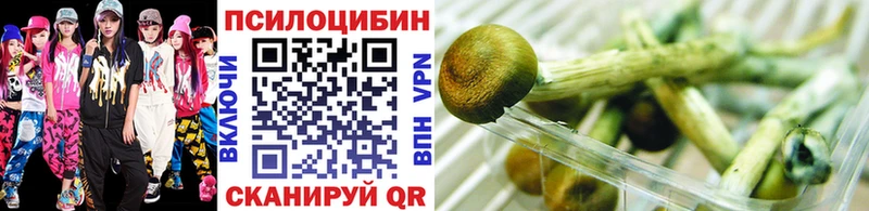 Псилоцибиновые грибы Psilocybe  Буйнакск 